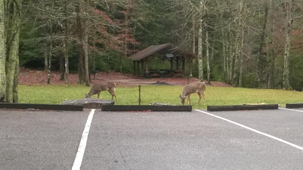 Grandview Experience Lodge Spencer エクステリア 写真